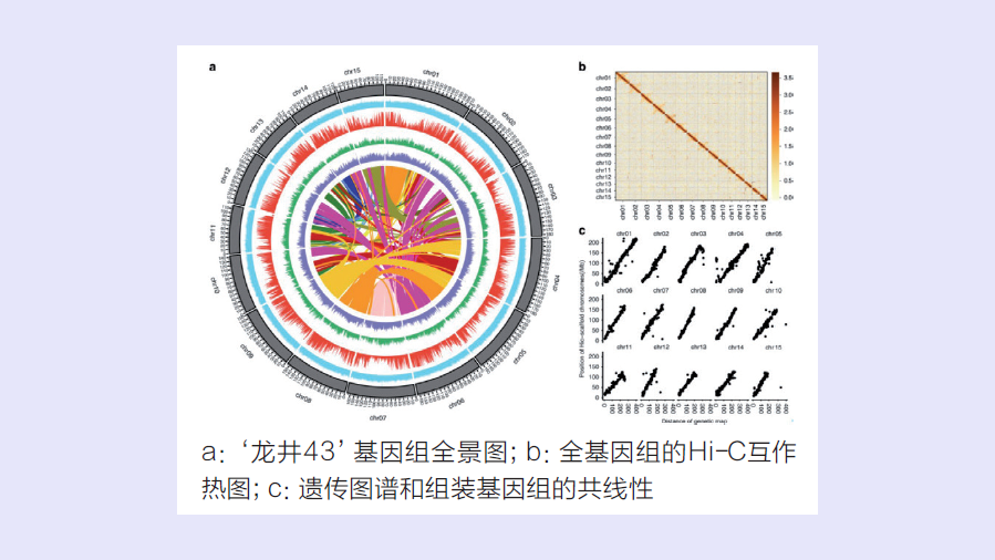 圖片4_副本.png