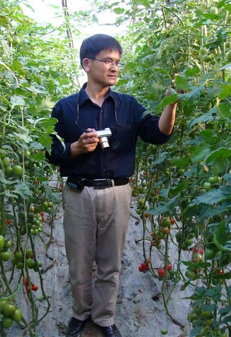 全國(guó)政協(xié)委員李寶聚：培育設(shè)施蔬菜種植大戶(hù)，推進(jìn)設(shè)施蔬菜產(chǎn)業(yè)高質(zhì)量發(fā)展